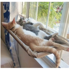 Pet Cat Hammock Aerial Hanging Cat Bed Cats Bed House Kitten Climbing Frame Sunny Window Seat Nest Bearing 20kg Pet Accessories