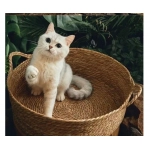 Cat Gog Bed Rattan Four Season Cat Bed Summer Cool Nest Pet Cat Supplies Cattail Woven House Nest Cama De Mimbre Para Mascotas