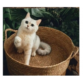 Cat Gog Bed Rattan Four Season Cat Bed Summer Cool Nest Pet Cat Supplies Cattail Woven House Nest Cama De Mimbre Para Mascotas
